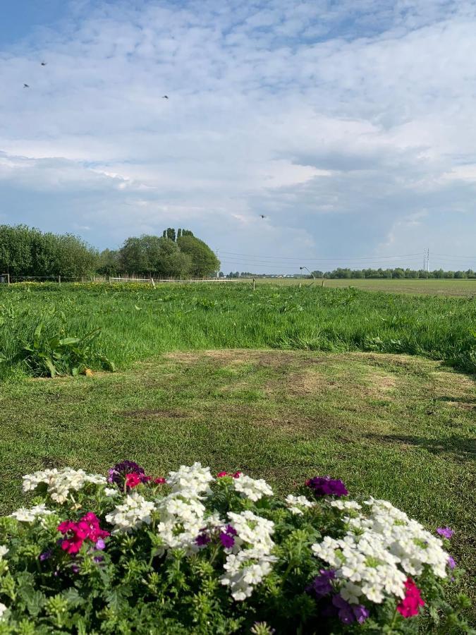 Bed and Breakfast Fields 1216 Zwaanshoek Exterior foto