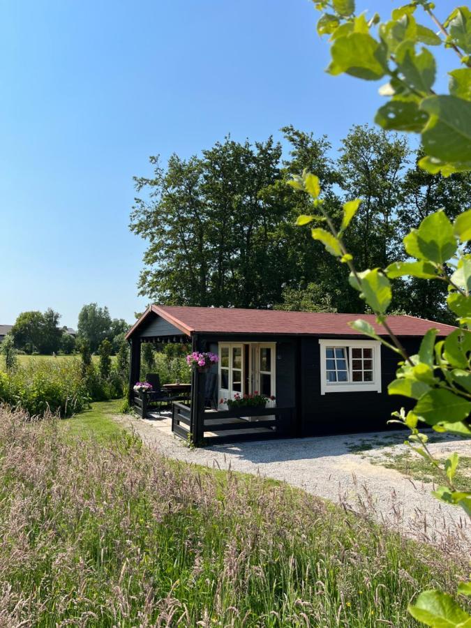 Bed and Breakfast Fields 1216 Zwaanshoek Exterior foto